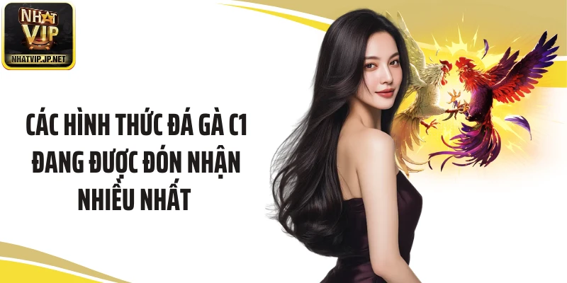 Các hình thức đá gà C1 đang được đón nhận nhiều nhất
