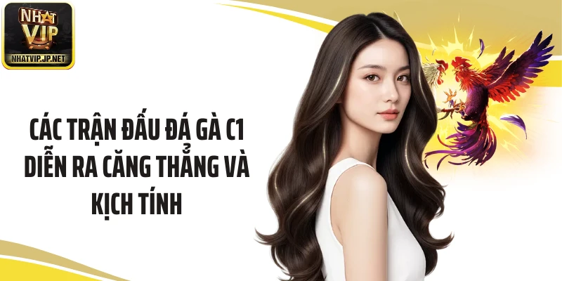 Các trận đấu đá gà C1 diễn ra căng thẳng và kịch tính